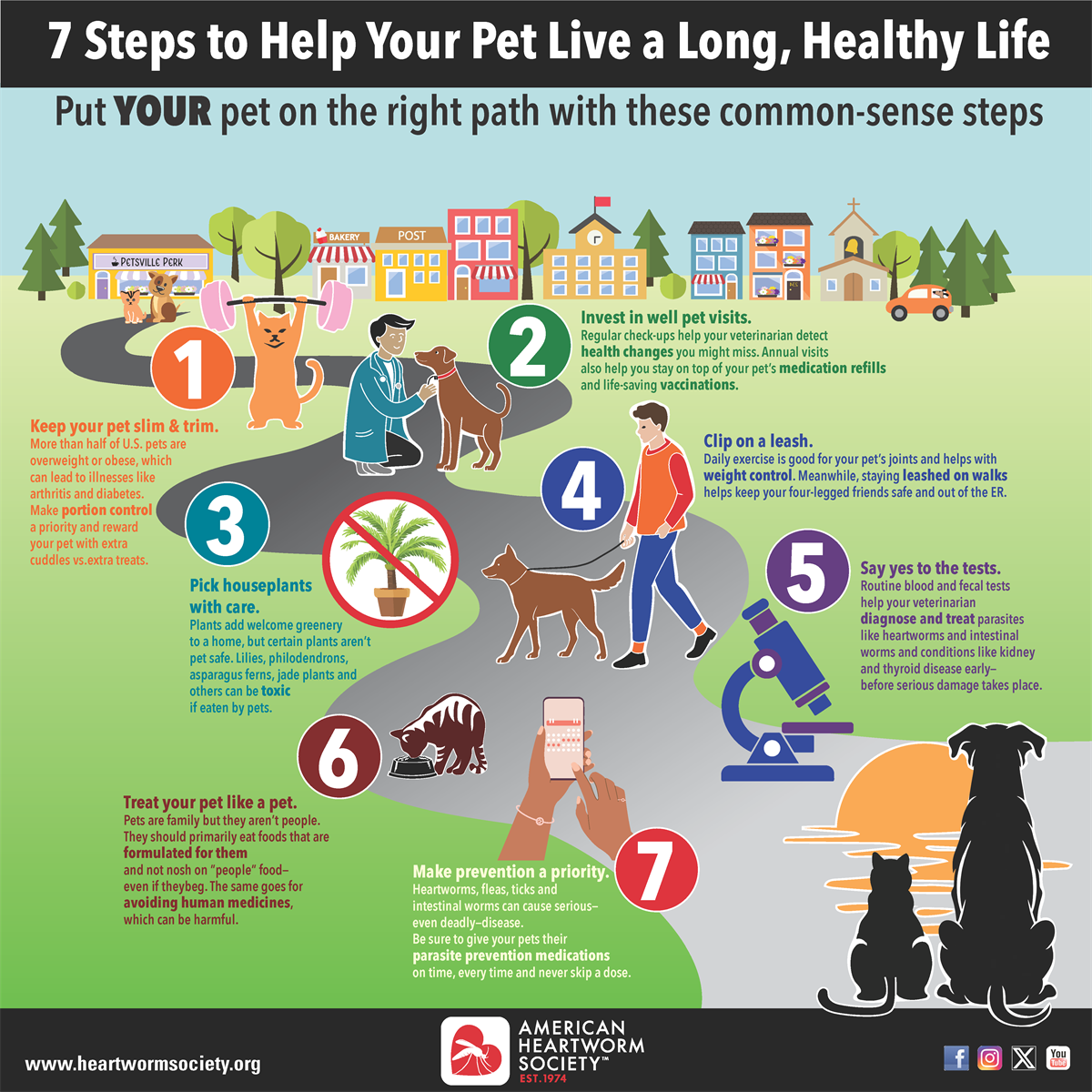 7 Steps to help your pet